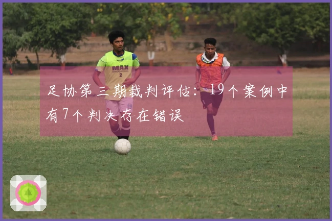 足协第三期裁判评估：19个案例中有7个判决存在错误
