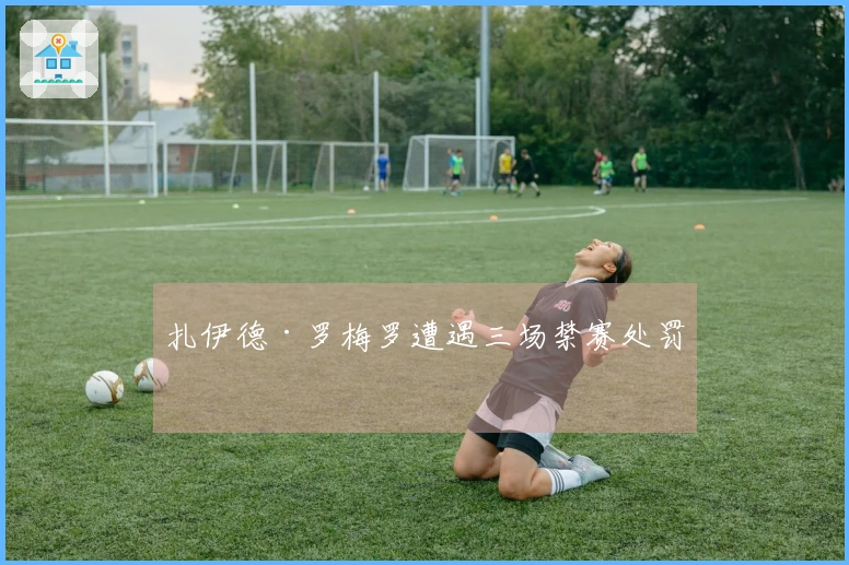 扎伊德·罗梅罗遭遇三场禁赛处罚